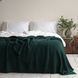 Покривало 170х240 LA MODNO CORN EMERALD зелене смарагдове 200256 фото 1